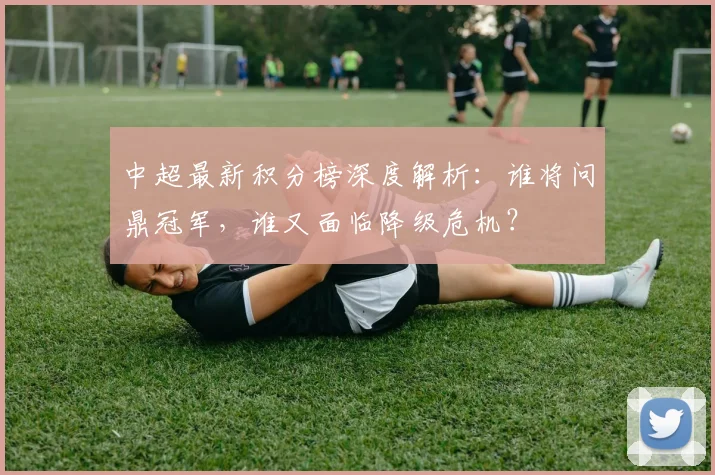 中超最新积分榜深度解析:谁将问鼎冠军,谁又面临降级危机?